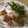 きらり流れ星's cooksnap of when they made ✿簡単蒸し焼き鶏丼.
