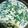むぎ✳️ママ's cooksnap of when they made とっても簡単♡ホウレン草の豆乳スープ.