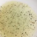 まゆぽんた。's cooksnap of when they made 人気検索トップ10✨手作りドレッシング♡.