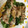 えいちじぇい's cooksnap of when they made わさび菜の簡単肉巻き.