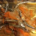 まぁちゃんとはち's cooksnap of when they made 簡単！煮干しの南蛮漬け.