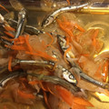まぁちゃんとはち's cooksnap of when they made 簡単！煮干しの南蛮漬け.