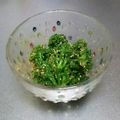 ☆ありか358☆'s cooksnap of when they made ブロッコリーのゴマ和え★.