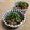 Chikatan☆'s cooksnap of when they made 漬けかつおとスプラウトのヘルシー丼.