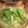 miki_iv's cooksnap of when they made セロリの甘酢漬け.