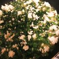 たままri's cooksnap of when they made カブの葉と挽肉の混ぜ御飯❤️.