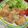 クックSCEBS6☆'s cooksnap of when they made 鶏のから揚げ☆.