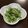 ☆ciao☆'s cooksnap of when they made 簡単♪ 水菜シャキシャキ！塩昆布ナムル.