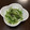 ☆ciao☆'s cooksnap of when they made 簡単♪ 水菜シャキシャキ！塩昆布ナムル.