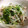 ゆず省's cooksnap of when they made 豆苗ともやしと豚バラのにんにく炒め.