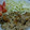 ナーちゃん's cooksnap of when they made 豚肉のマーマレードソース炒め.