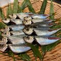 horseland's cooksnap of when they made 私流・小あじ(豆あじ)の下処理・さばき方.