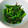 naonao_ka's cooksnap of when they made 菜の花 * 塩昆布和え.