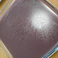 淡紫色's cooksnap of when they made 冷ぇ～冷ぇ～ミルクの小倉水羊羹.