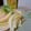 ダイナマイト漆黒's cooksnap of when they made 豆板醤&ラー油で＊やみつきピリッ新玉ねぎ.