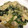 ＊＊＊花＊＊＊'s cooksnap of when they made 牡蠣とほうれん草の濃厚クリーム煮.