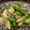 クックZXZKIT☆'s cooksnap of when they made シャキッと☆うるいとえのきのバター炒め.
