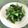 アンドーナツ☆'s cooksnap of when they made 菜の花の辛子お浸し.