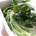 azbjbn's cooksnap of when they made 香り野菜の保存法.