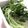 azbjbn's cooksnap of when they made 香り野菜の保存法.