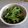 あさき母's cooksnap of when they made チアシード入り☆ほうれん草の胡麻和え.