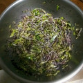 おいもらぶ's cooksnap of when they made キャベツともやしのゆかり和え.