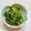 __MUGI's cooksnap of when they made 簡単ほうれん草ナムル副菜.