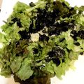 クックT784AZ☆'s cooksnap of when they made チョレギサラダ.