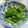 めがねロック's cooksnap of when they made 菜の花からしあえ 簡単めちゃ旨 やみつき.