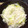 ﾊﾞﾀﾞｷﾞﾆ's cooksnap of when they made 春雨とネギのさっぱり塩炒め.