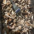naoki1203's cooksnap of when they made 簡単！美味しい♪手作りシーチキン.
