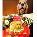 大雑把母ちゃん's cooksnap of when they made ☆犬用birthdayケーキ☆.