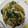 ことことあすか's cooksnap of when they made ほうれん草とツナのオイスター炒め、4日.