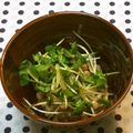 おはなすき's cooksnap of when they made 納豆とかいわれのピリ辛サラダ♡.