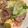 ぐぐったん's cooksnap of when they made ✨オイスター香る野菜炒め✨.