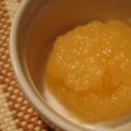 aikuma's cooksnap of when they made りんごだけ煮りんご☆で簡単シャーベット♪.