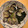 クック26UEZU☆'s cooksnap of when they made 美味☆あさりの酒蒸しそば.