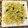 ethnic0229's cooksnap of when they made 味噌味☆まかろにサラダ.