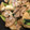 MINI96mini's cooksnap of when they made 長芋と豚肉の甘辛炒め.