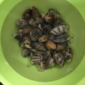 クックIN5GH0☆'s cooksnap of when they made 15分で！簡単時短アサリの砂抜き☆.
