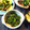 マーシ☆'s cooksnap of when they made 春の兆し♪ほろ苦さが身上♪我が家の蕗味噌.
