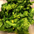 wnemu801's cooksnap of when they made ★めんつゆで簡単！菜の花の辛子和え★.