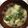 クックGFY8CA☆'s cooksnap of when they made なめこ、豆腐と大根おろしのお味噌汁♪.