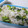 紅葉ｙ's cooksnap of when they made 栄養満点☆わが家の大根の葉の菜めし.