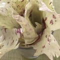 Yokchina's cooksnap of when they made カステルフランコの薔薇サラダ.