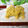 mielle's cooksnap of when they made ウド、ふきのとう、太いネギの天ぷら.
