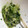chstxx's cooksnap of when they made 鍋いらず！豆苗ともやしの和え物.
