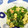 おはなすき's cooksnap of when they made 麺つゆで簡単☆菜の花と桜えびの卵とじ.