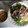 chiyuwa's cooksnap of when they made 我が家の万能ネギだれ！.
