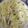 クック9P6O5D☆'s cooksnap of when they made 鶏ささみキャベツ卵カニカマのマヨサラダ.